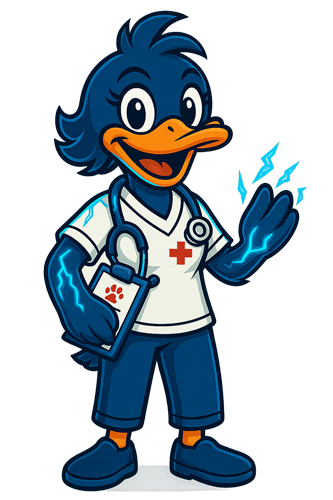 Auxiliar de veterinaria