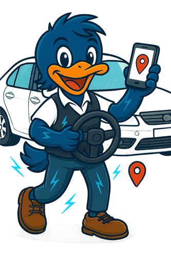 Conductor/a de VTC