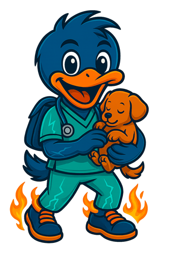 Cuidador/a de animales