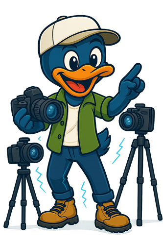 Director/a de fotografía